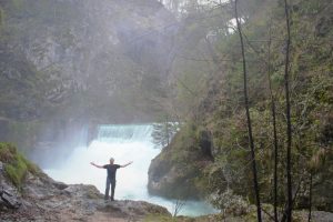 Bled