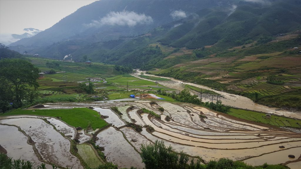 Sapa