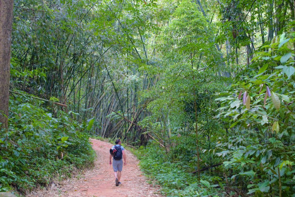 Chiang Rai